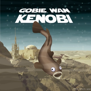 Gobie Wan Kenobi 