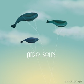 Aéro-soles