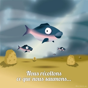 Nous récoltons ce que nous saumons…