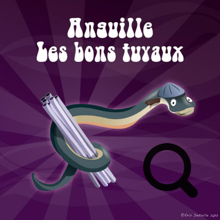 Anguille les bons tuyaux