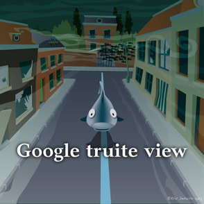 Google truite view