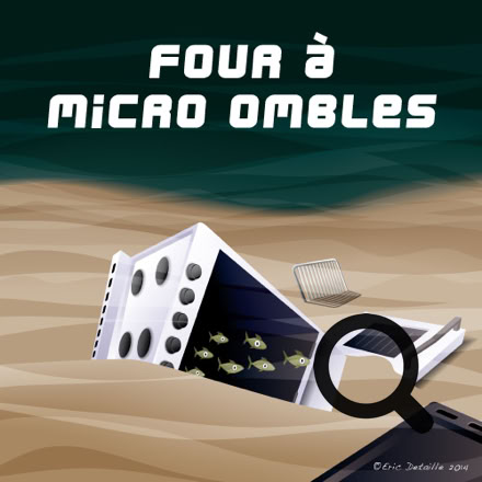 Four à micro ombles