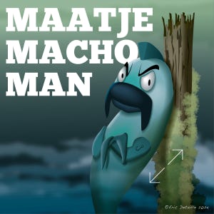 Maatje Macho Man