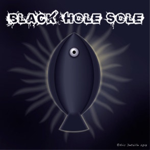 Black Hole Sole