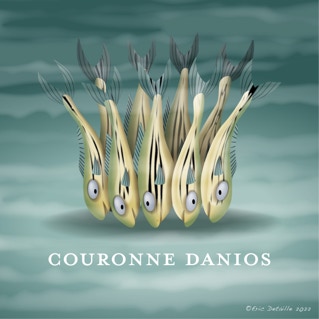 Couronne danios - Couronne d'agneau