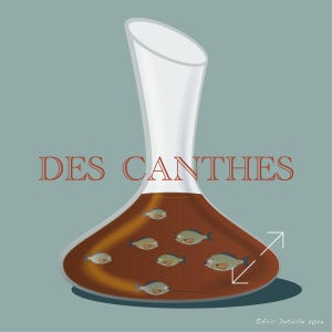 Des canthes