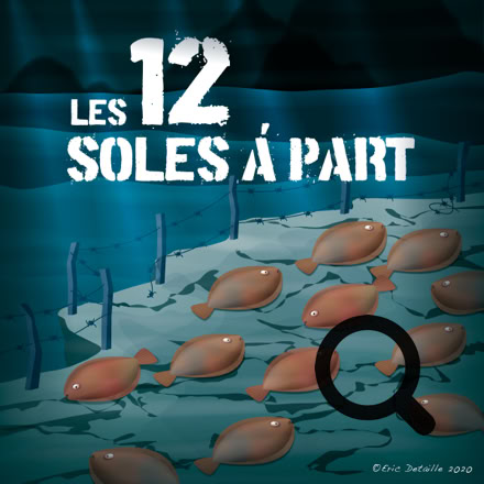 Les 12 soles à part