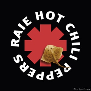 Raie hot chili peppers