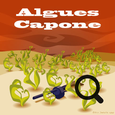 Algues Capone