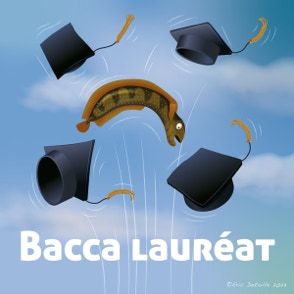 Bacca lauréat - Baccalauréat