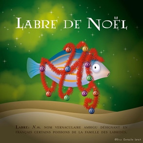 Labre de Noël