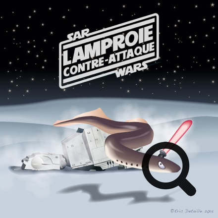 Lamproie contre-attaque