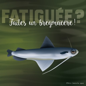 Fatiguée ? Faire un bregmacère - Faites un break