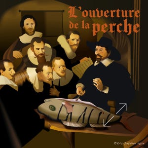 L'ouverture de la perche