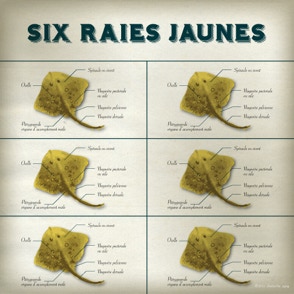 Six raies jaunes