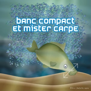Baanc compact et Mister carpe