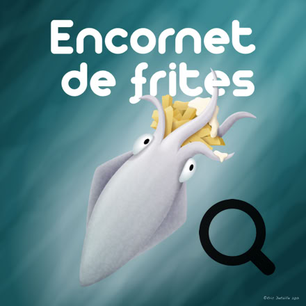 Encornet de frites