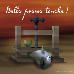 Belle presse tanche - Belle prestance
