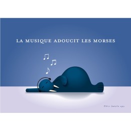 La musique adoucit les morses