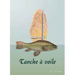 Tanche à voile
