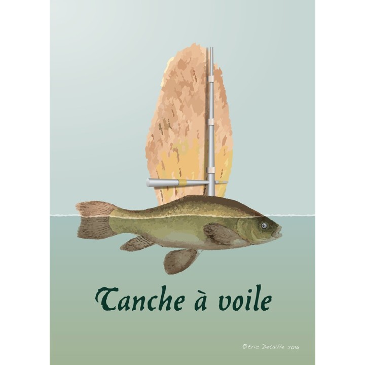 Tanche à voile