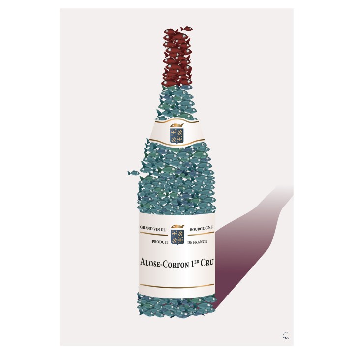 Alose Corton