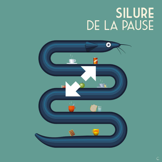 Silure de la pause