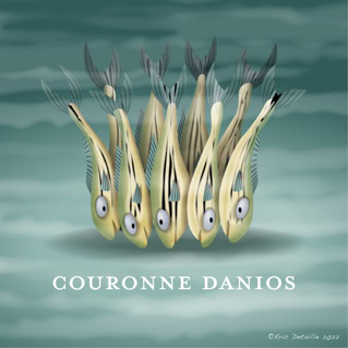 Couronne danios - Couronne d'agneau
